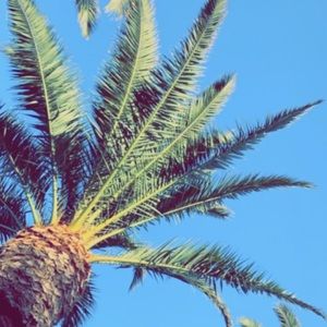 Meet your Posher, Jess